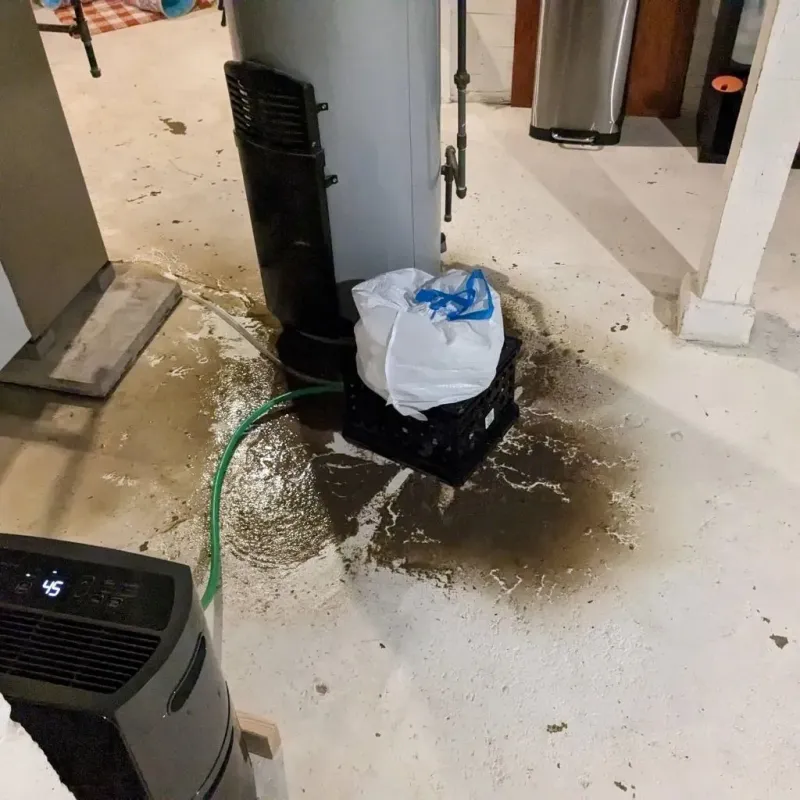Sewage Backup Cleanup Service in Elsberry, MO
